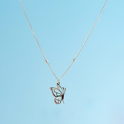 IMG_5628 گردنبند پروانه - تصویر 1