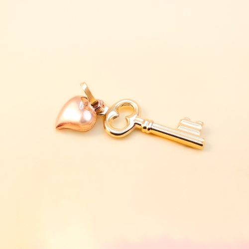 IMG_5662 آویز - تصویر 1